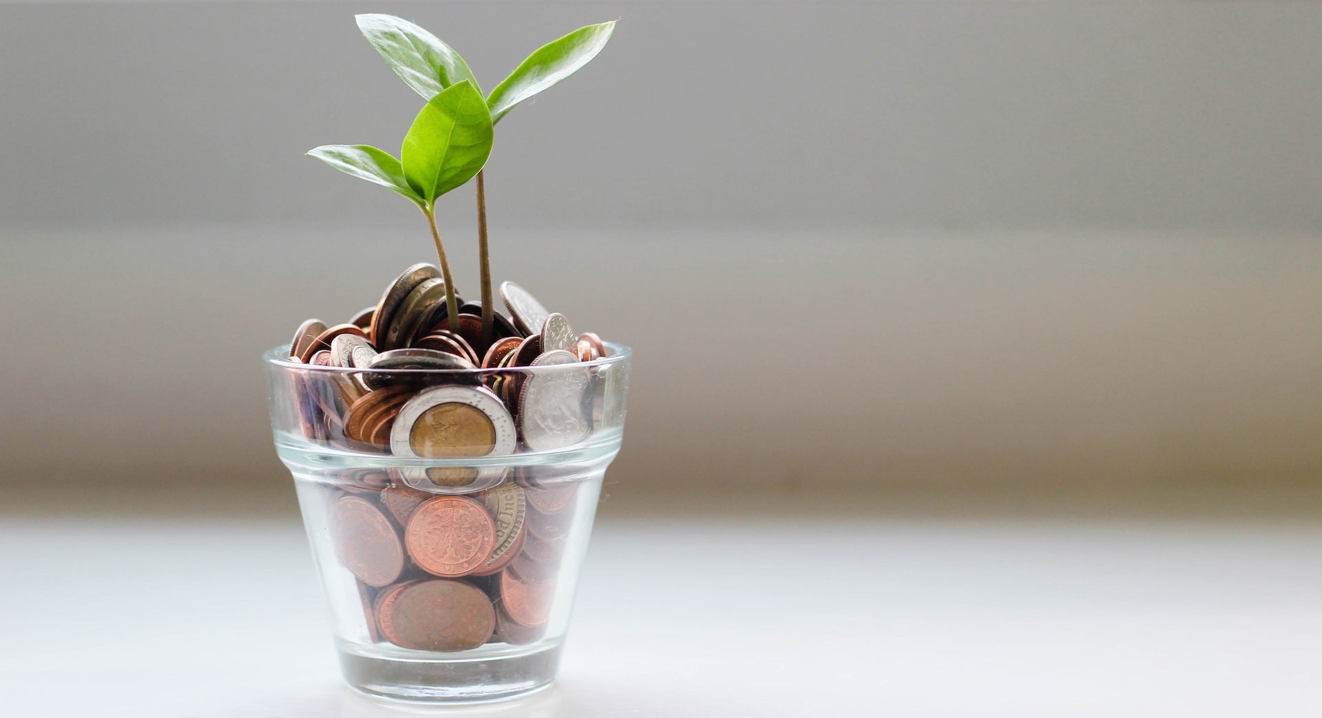 How to Save Money and Help the Environment